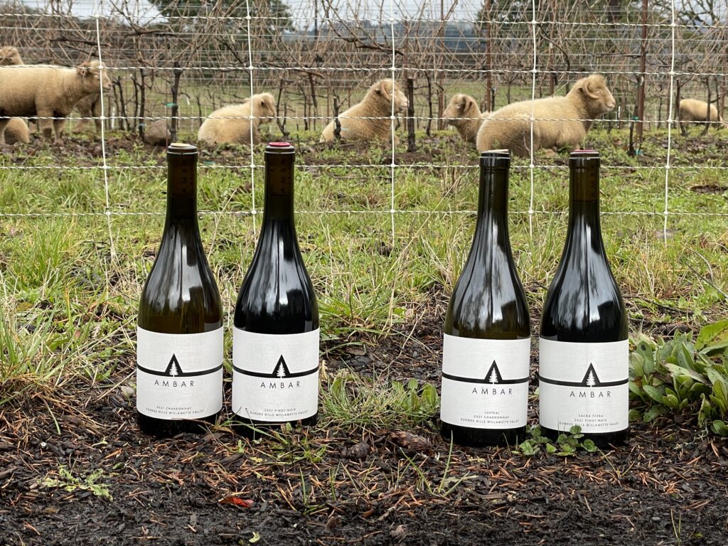 wine bottles and sheep